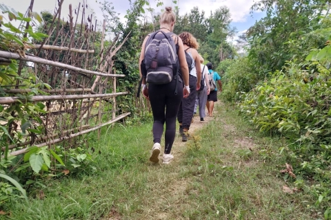 Luang Prabang: Erlebnis Biobauernhof & Wanderung nach Kuang siMorgenmarkt, Veganes Essen auf dem Bauernhof & Wanderung zum Kuang Si