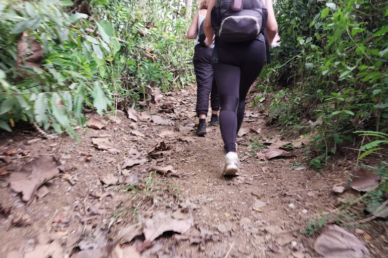 Luang Prabang: Senderismo fuera de los caminos trillados con comida campestre