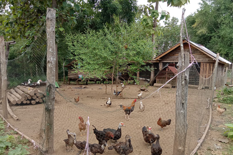 Luang Prabang: Senderismo fuera de los caminos trillados con comida campestre