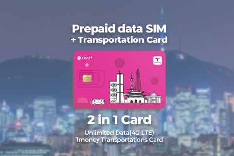 Aeropuerto de Incheon: Traveler SIM y Tarjeta de Transporte T-money