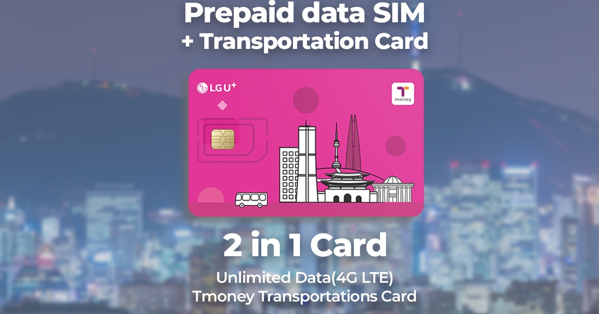 Incheon Airport Traveler SIM & Tmoney Transportation Card GetYourGuide