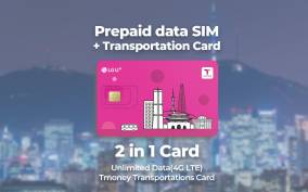 Incheon Airport: Traveler SIM & T-money Transportation Card