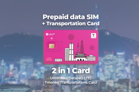 Port lotniczy Gimpo: podróżna karta SIM i T-money Transport Card10-dniowa karta SIM i transport