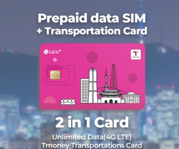 Incheon Airport: Traveller SIM & T-money transportkort