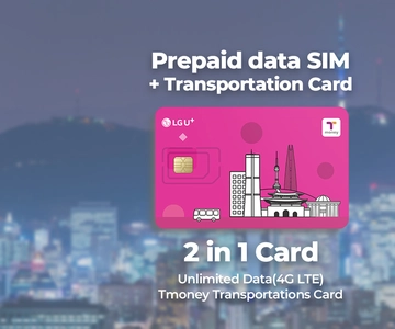 Incheon Airport: Traveler SIM & T-money Transportation Card