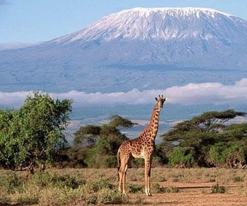 Escursione di un giorno al parco nazionale di Amboseli da Nairobi