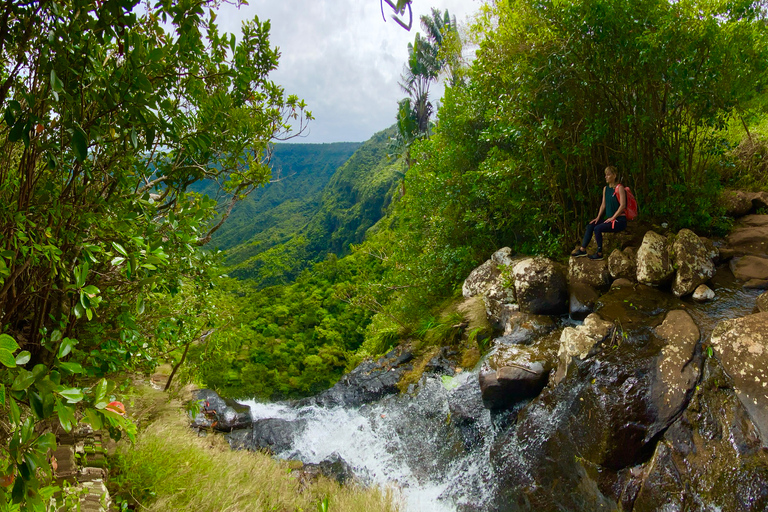 Black River Gorges National Park: Eco Adventure Day Tour