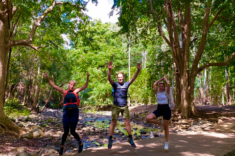 Black River Gorges National Park: Eco Adventure Day Tour