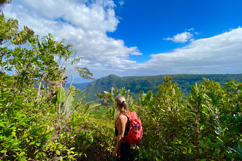 Black River Gorges National Park: Eco Adventure Day Tour