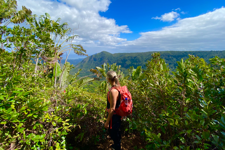 Black River Gorges National Park: Eco Adventure Day Tour