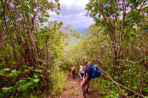 Black River Gorges National Park: Eco Adventure Day Tour