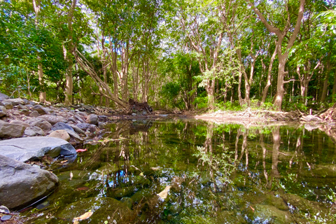 Black River Gorges National Park: Eco Adventure Day Tour