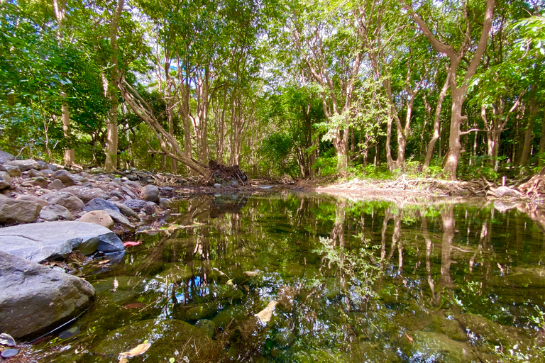 Black River Gorges National Park: Eco Adventure Day Tour