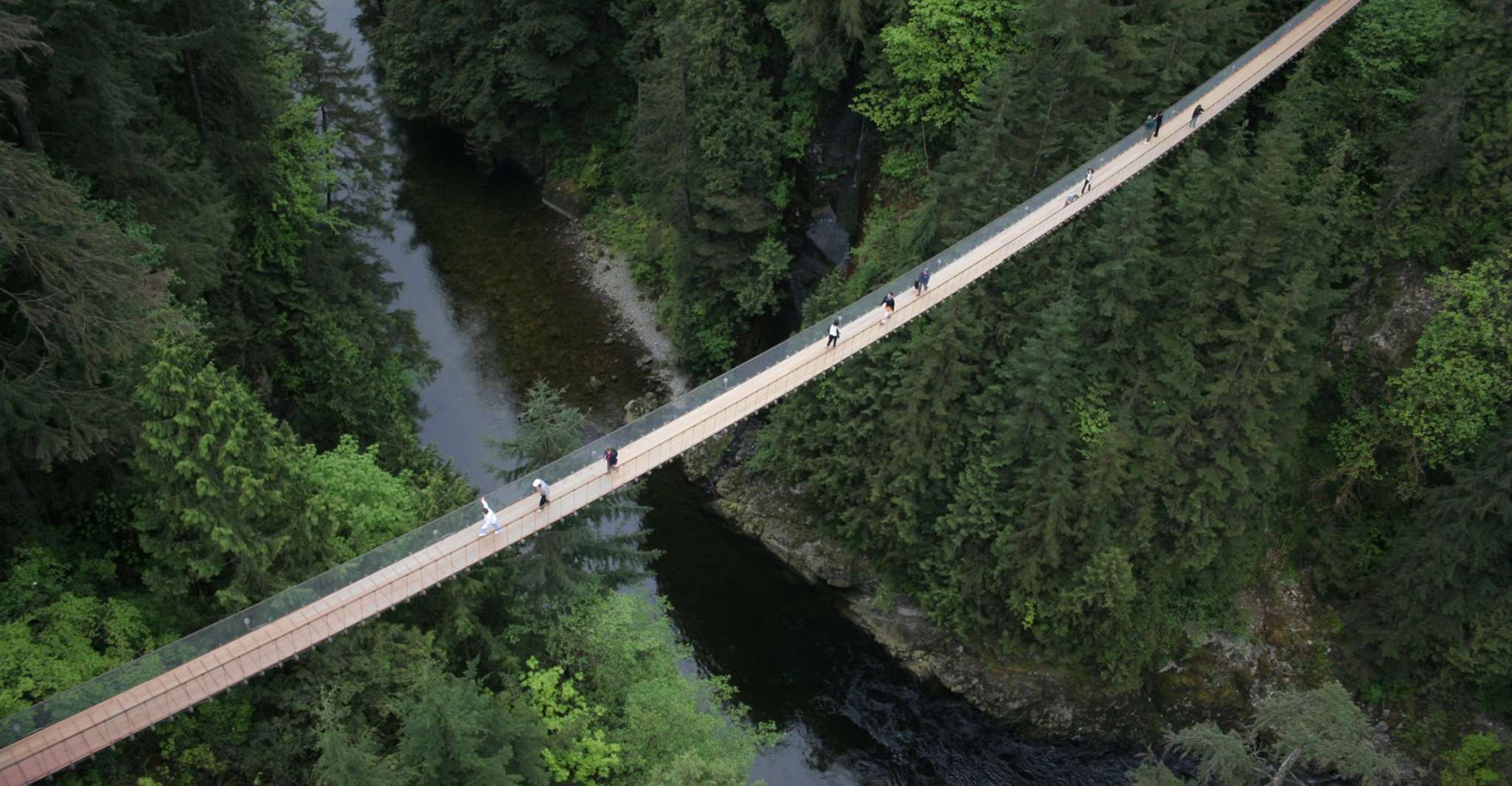Vancouver: City Tour with Capilano Suspension Bridge