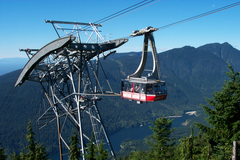 Vancouver: Stadtrundfahrt mit Capilano HängebrückePrivate Tour