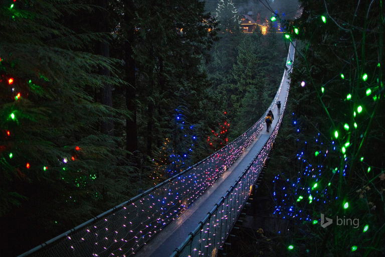 Vancouver: City Tour com Capilano Suspension BridgeTour privado