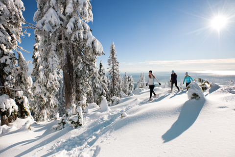 Vancouver: City Tour with Grouse Mountain & Capilano Bridge Private tour