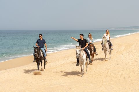 Da Lisbona: viaggio a Comporta e Setúbal con passeggiate a cavallo