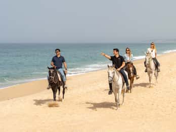 Desde Lisboa: Viaje a Comporta y Setúbal con Paseos a Caballo