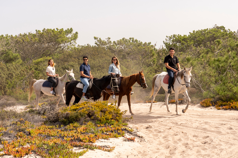 Desde Lisboa: Excursión a Comporta y Setúbal con paseos a caballo