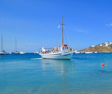 Mykonos: South Coast Cruise