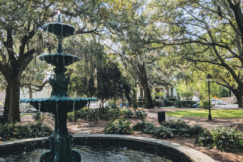 Savannah : visite privée du quartier historique et des îles