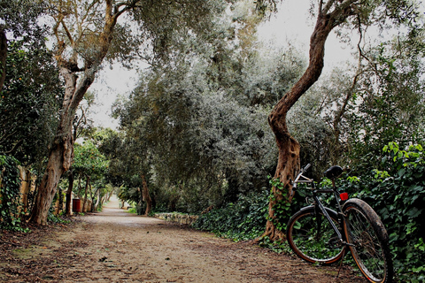 Malta: privé-natuurtour Buskett Woodlands & Dingli CliffsMalta: natuurwandeling door Buskett Woodlands en Dingli Cliffs