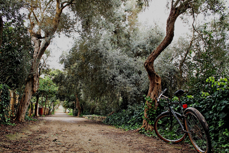 Malta: Buskett Woodlands & Dingli Cliffs Nature Walking Tour