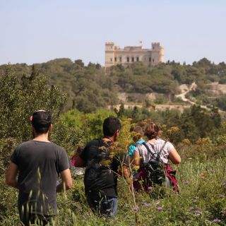 Malte : Visite privée de la nature dans les bois de Buskett et les falaises de Dingli