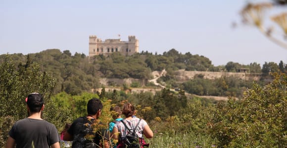 Buskett Woodlands and Dingli Cliffs Private Nature Tour