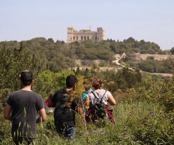 Buskett Woodlands and Dingli Cliffs Private Nature Tour