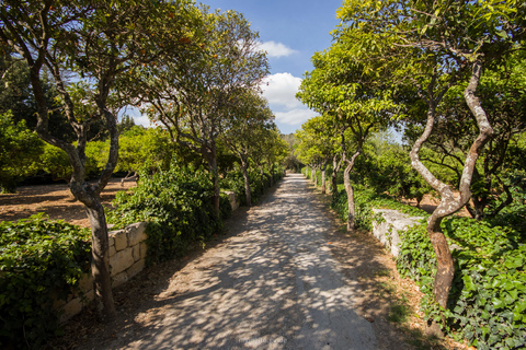 Buskett Woodlands and Dingli Cliffs Private Nature TourWithout Packed Lunch