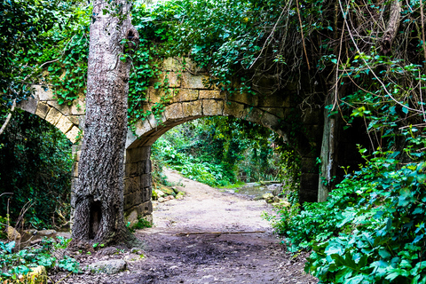 Malte : Visite privée de la nature dans les bois de Buskett et les falaises de DingliMalte: visite à pied de la forêt de Buskett et des falaises de Dingli