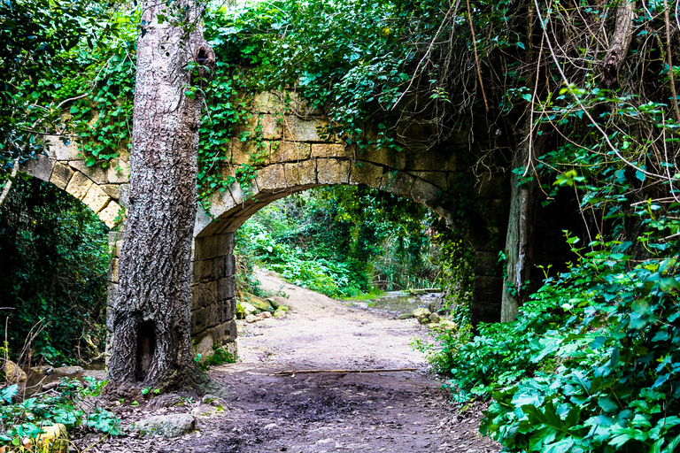 Malte : Visite privée de la nature dans les bois de Buskett et les falaises de DingliMalte: visite à pied de la forêt de Buskett et des falaises de Dingli