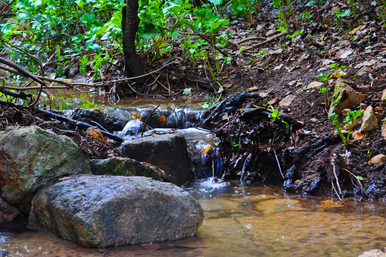 Tour particular pela natureza em Buskett Woodlands e Dingli CliffsSem almoço embalado