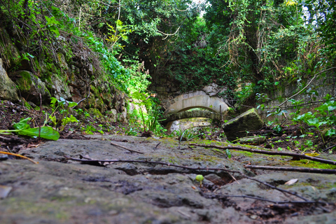 Malta: privé-natuurtour Buskett Woodlands & Dingli CliffsMalta: natuurwandeling door Buskett Woodlands en Dingli Cliffs