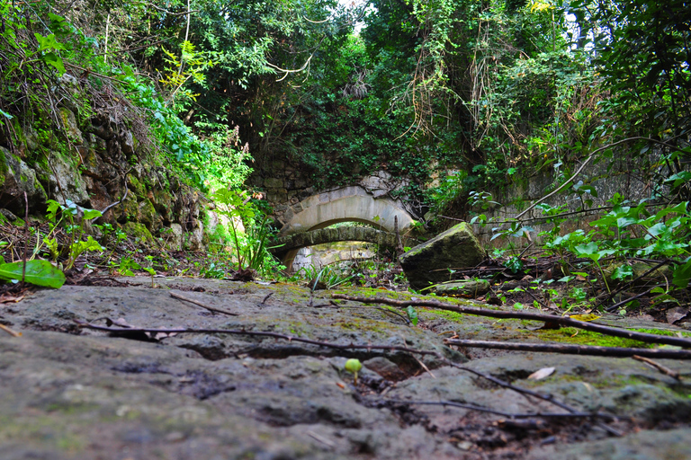 Malta: privé-natuurtour Buskett Woodlands & Dingli CliffsMalta: natuurwandeling door Buskett Woodlands en Dingli Cliffs