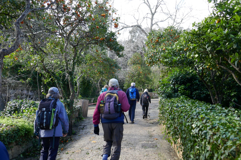 Tour particular pela natureza em Buskett Woodlands e Dingli CliffsSem almoço embalado