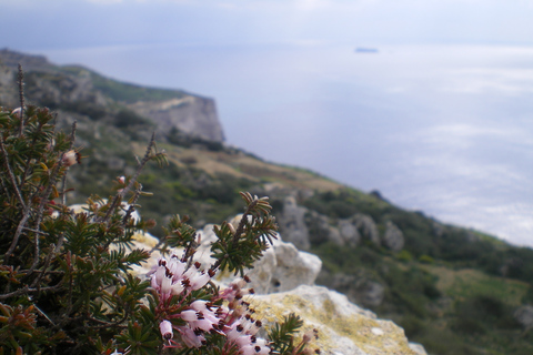 Buskett Woodlands and Dingli Cliffs Private Nature TourWithout Packed Lunch