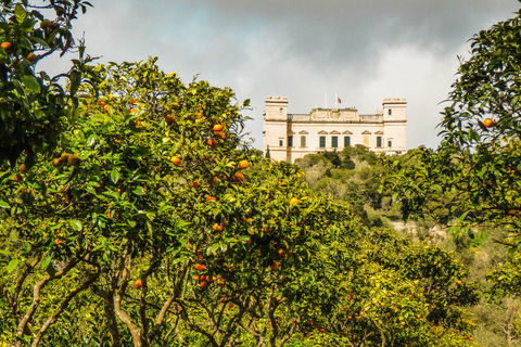 Tour particular pela natureza em Buskett Woodlands e Dingli CliffsSem almoço embalado