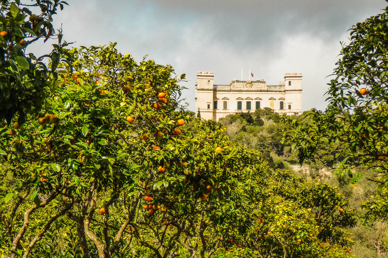 Malta: privé-natuurtour Buskett Woodlands & Dingli CliffsMalta: natuurwandeling door Buskett Woodlands en Dingli Cliffs