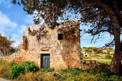 Privat naturtur i Busketts skogar och Dingli CliffsUtan medhavd lunch