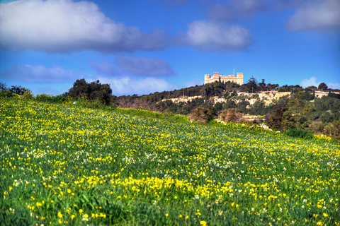 Malta: privé-natuurtour Buskett Woodlands & Dingli CliffsMalta: natuurwandeling door Buskett Woodlands en Dingli Cliffs