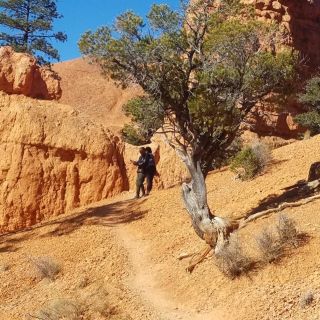 From Las Vegas: Zion and Bryce Canyon Guided Day Tour