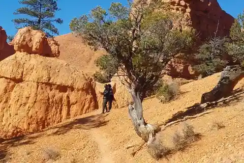 Von Las Vegas aus: Geführte Tagestour zum Zion und Bryce Canyon