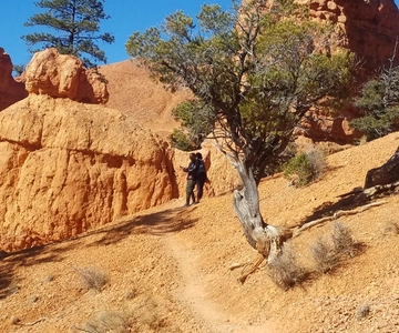 From Las Vegas: Zion and Bryce Canyon Guided Day Tour