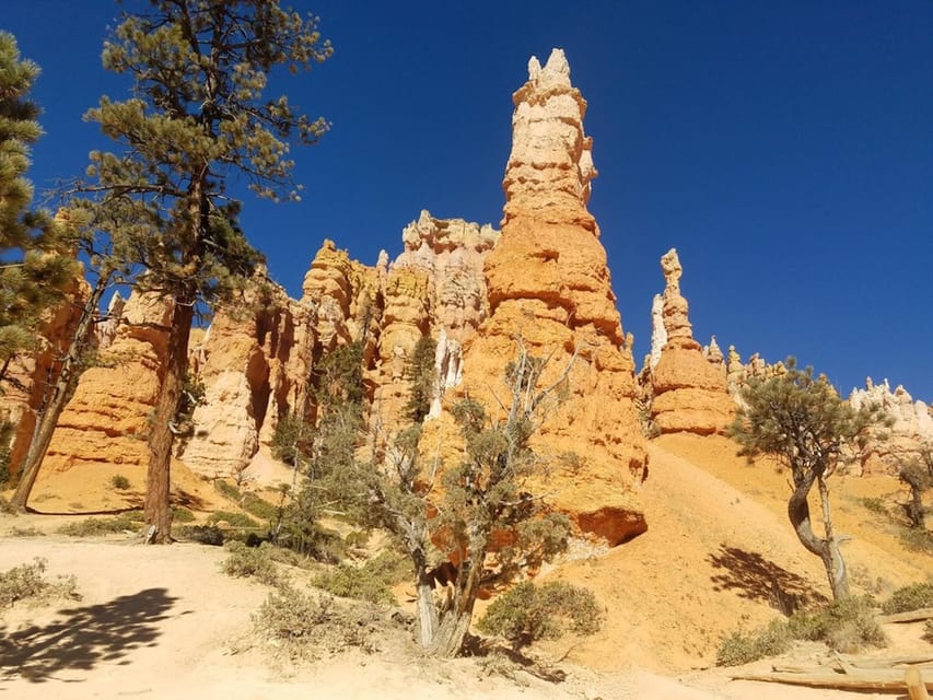 Vanuit Las Vegas Begeleide Dagtour Door Zion En Bryce Canyon