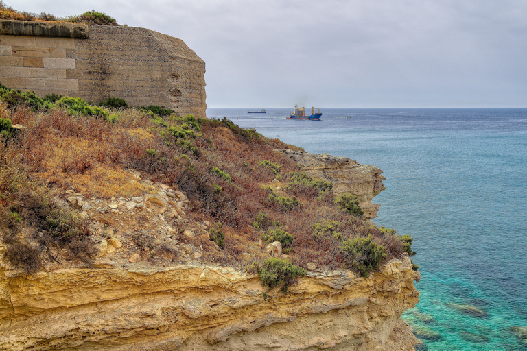 Tour privato a piedi della costa sud con trasportoSenza pranzo al sacco