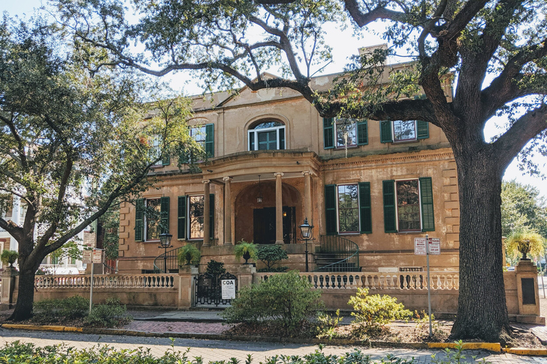 Savannah: Distrito Histórico, Islas y más Tour Privado VIP