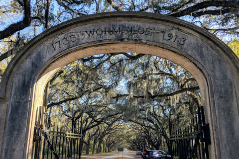 Savannah: Distrito Histórico, Ilhas e mais Tour VIP particular